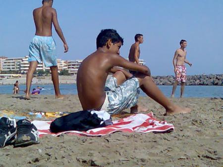 chamise